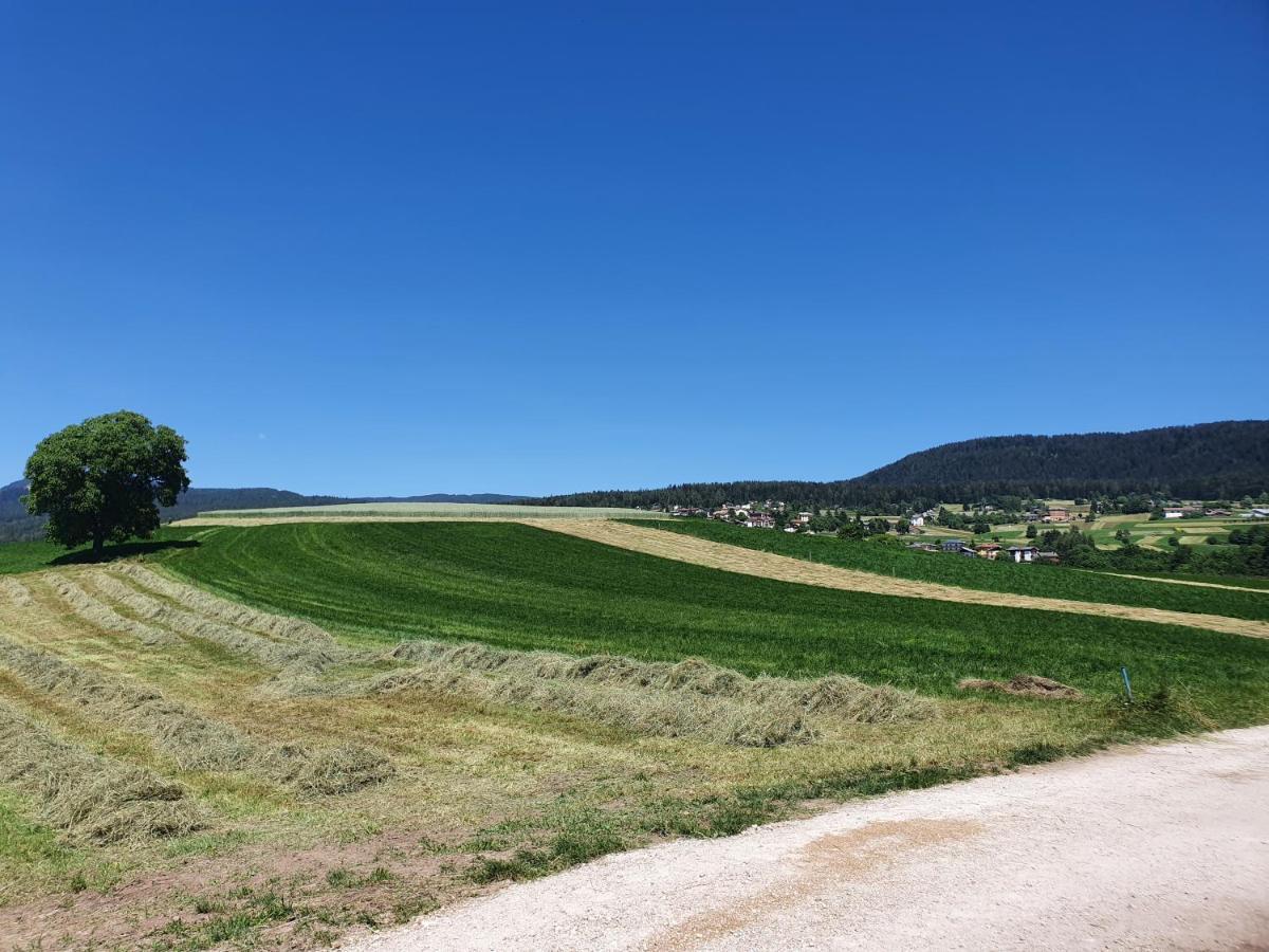 Agritur Belsogno B&B Брец Экстерьер фото